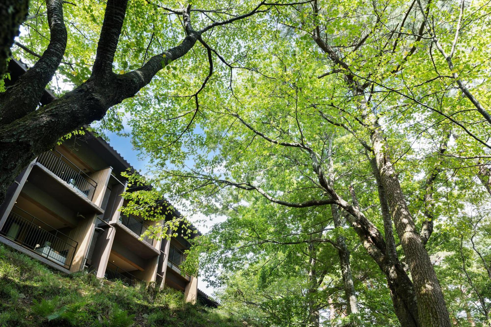 Laforet Shuzenji Sanshisuimei Изу Екстериор снимка
